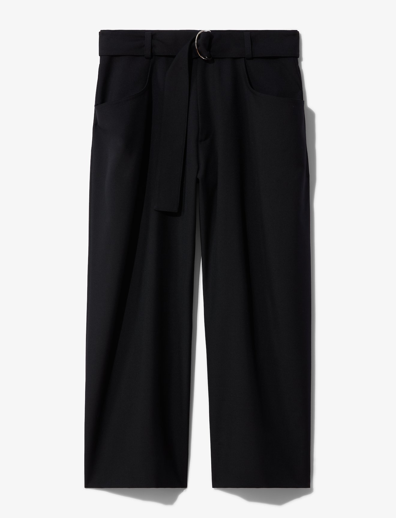 Drop Waisted Belted Pants #4