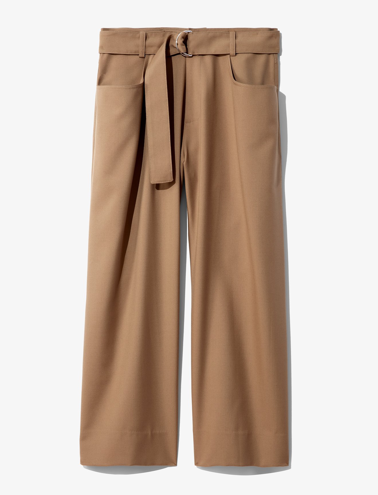 Drop Waisted Belted Pants #4