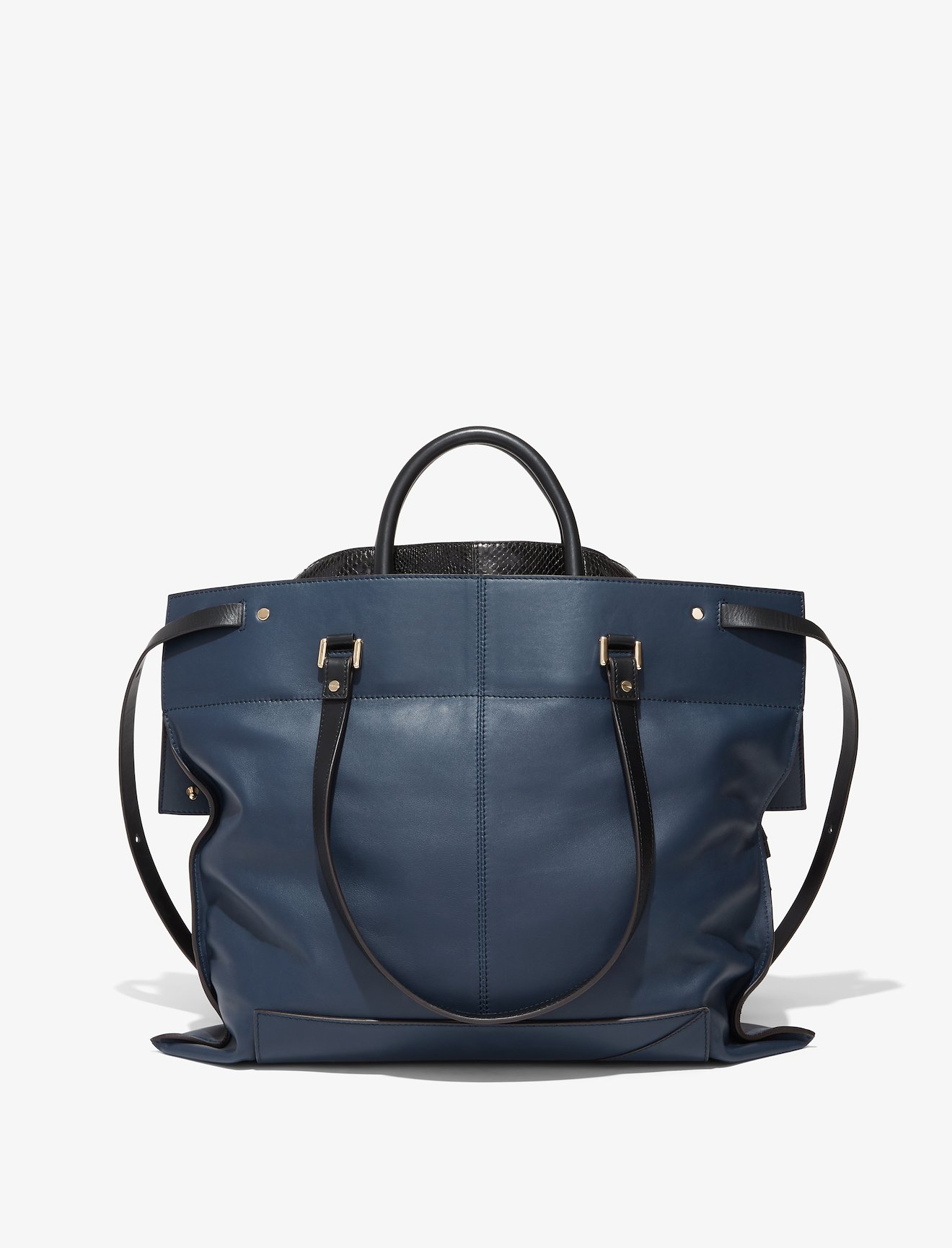Elaphe PS19 Large #3