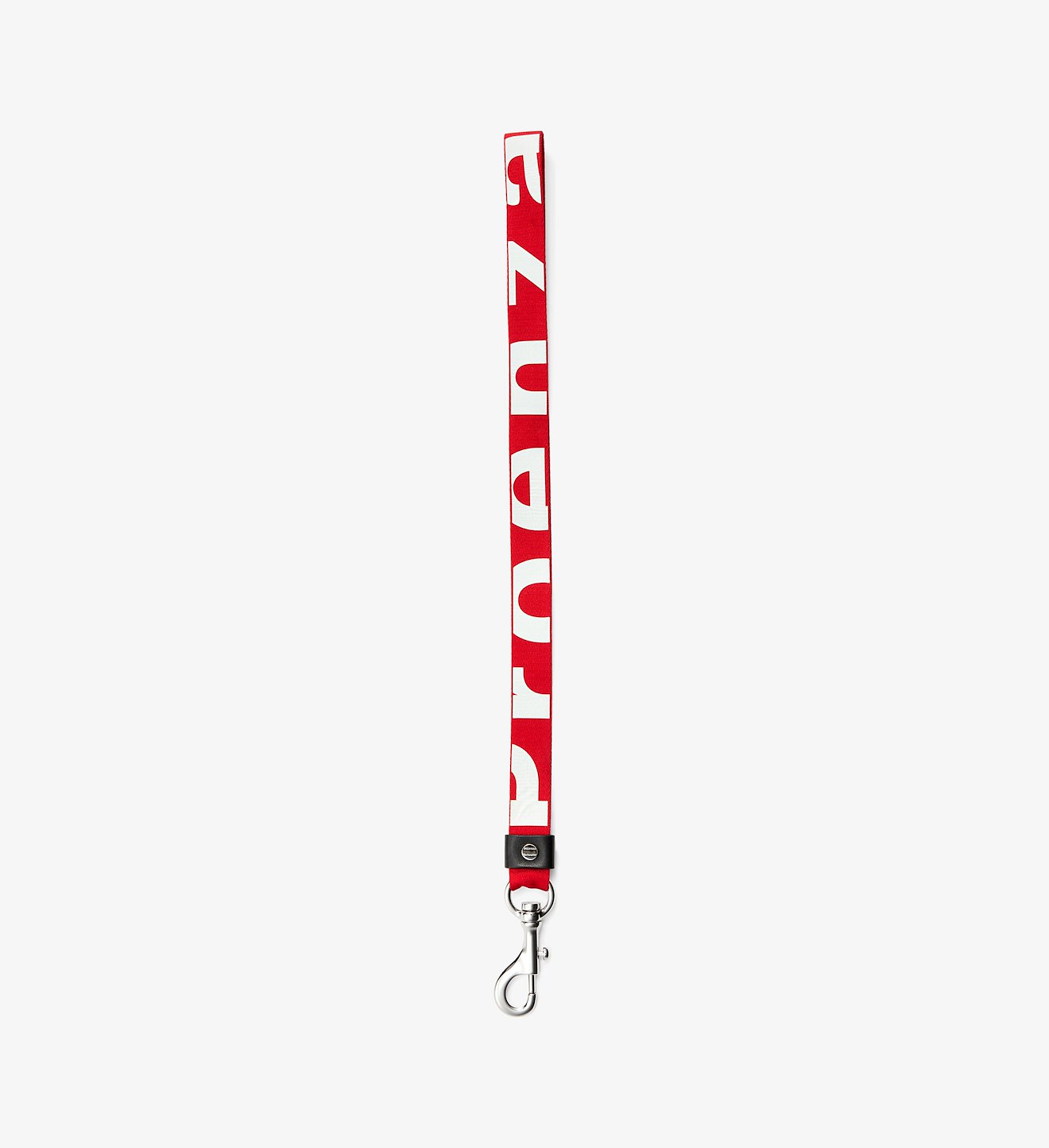 Logo Lanyard