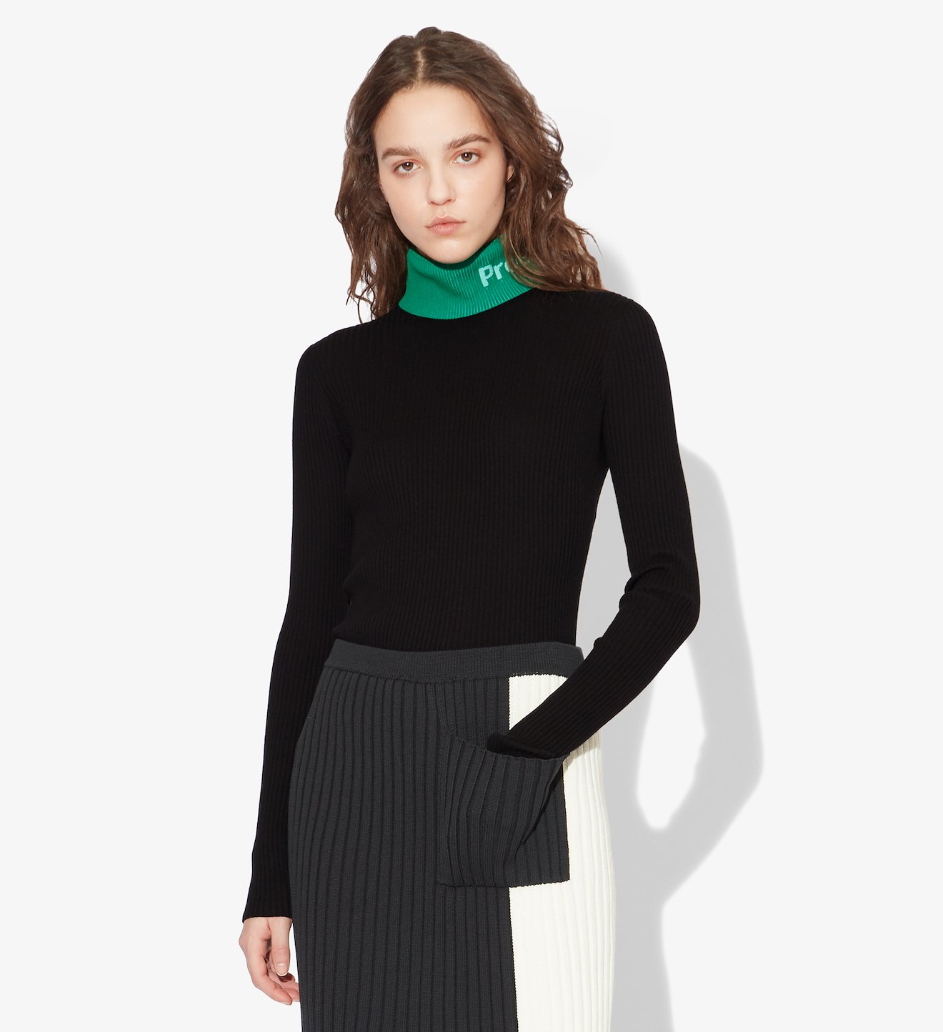 Logo Rib Knit Turtleneck