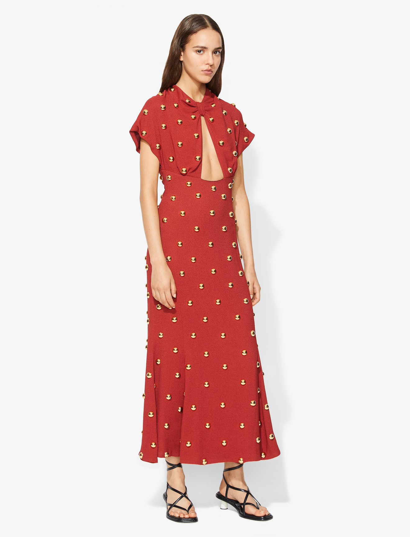 Metal Embroidered Long Dress #1