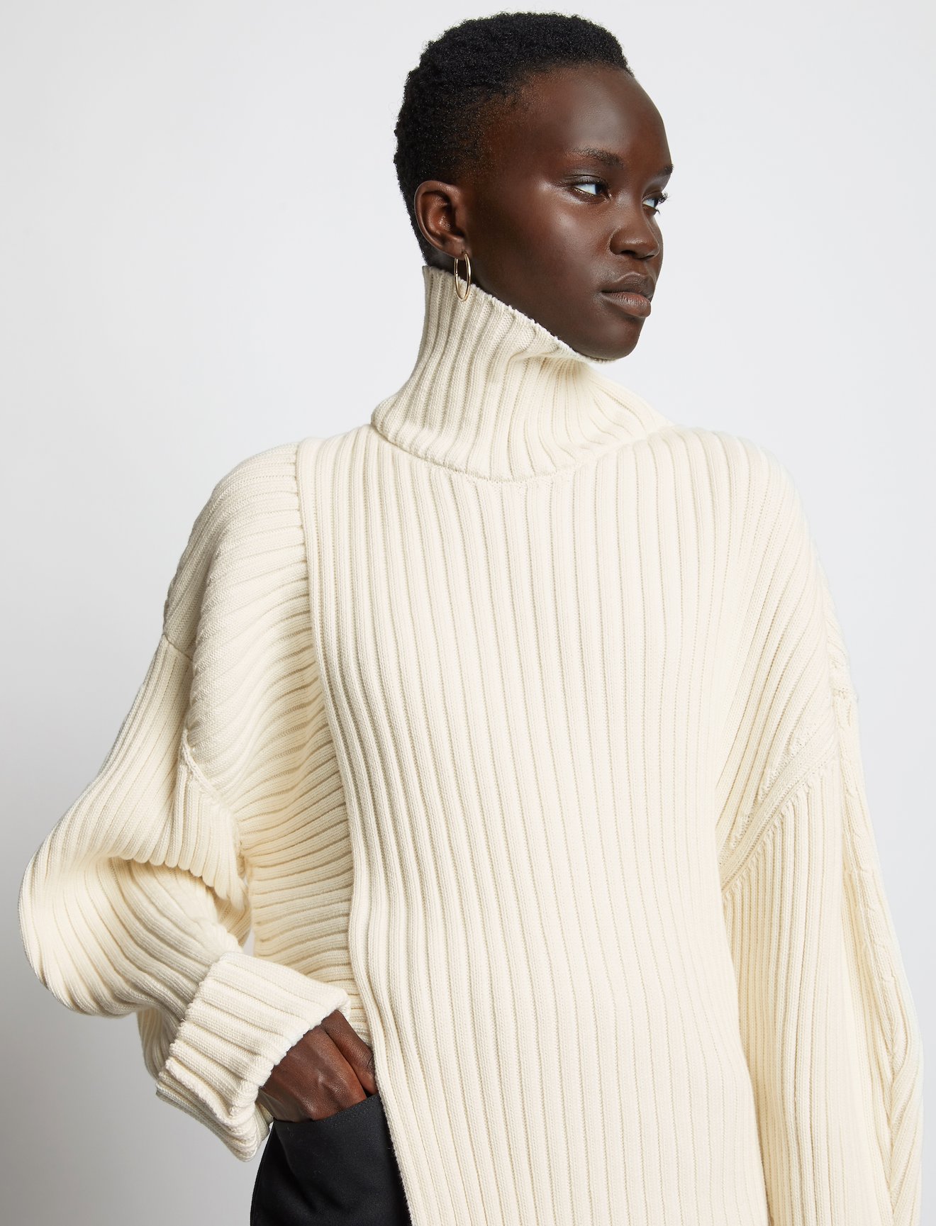 Midweight Rib Asymmetric Turtleneck #3