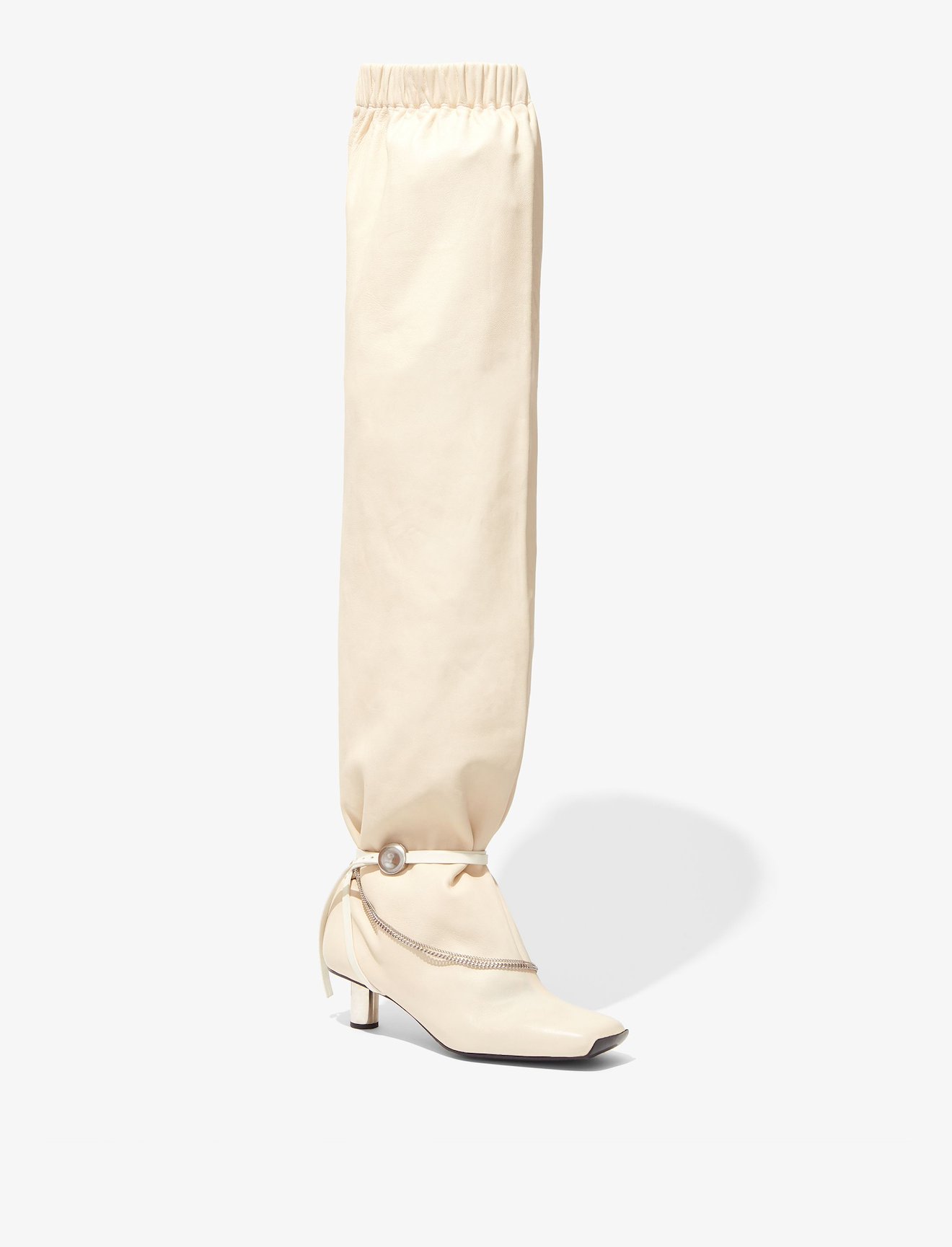 Over the Knee Boots #1