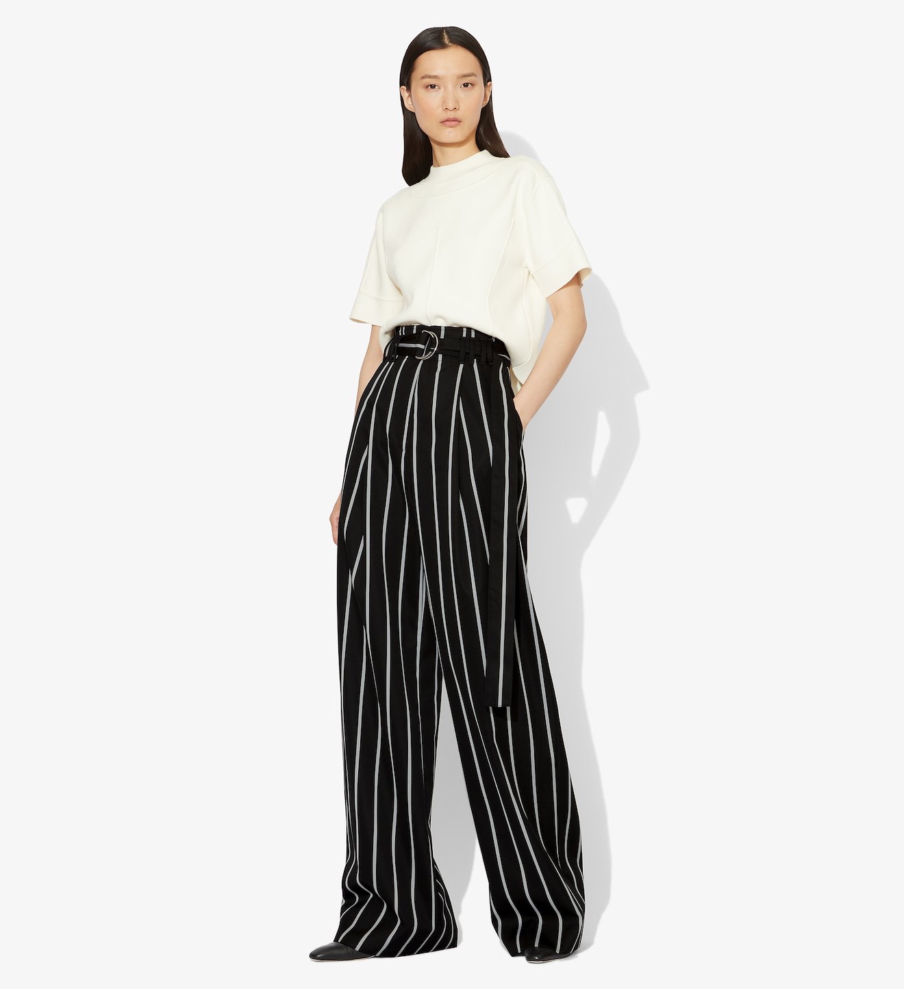 Pinstripe Wide Legged Belted Pant