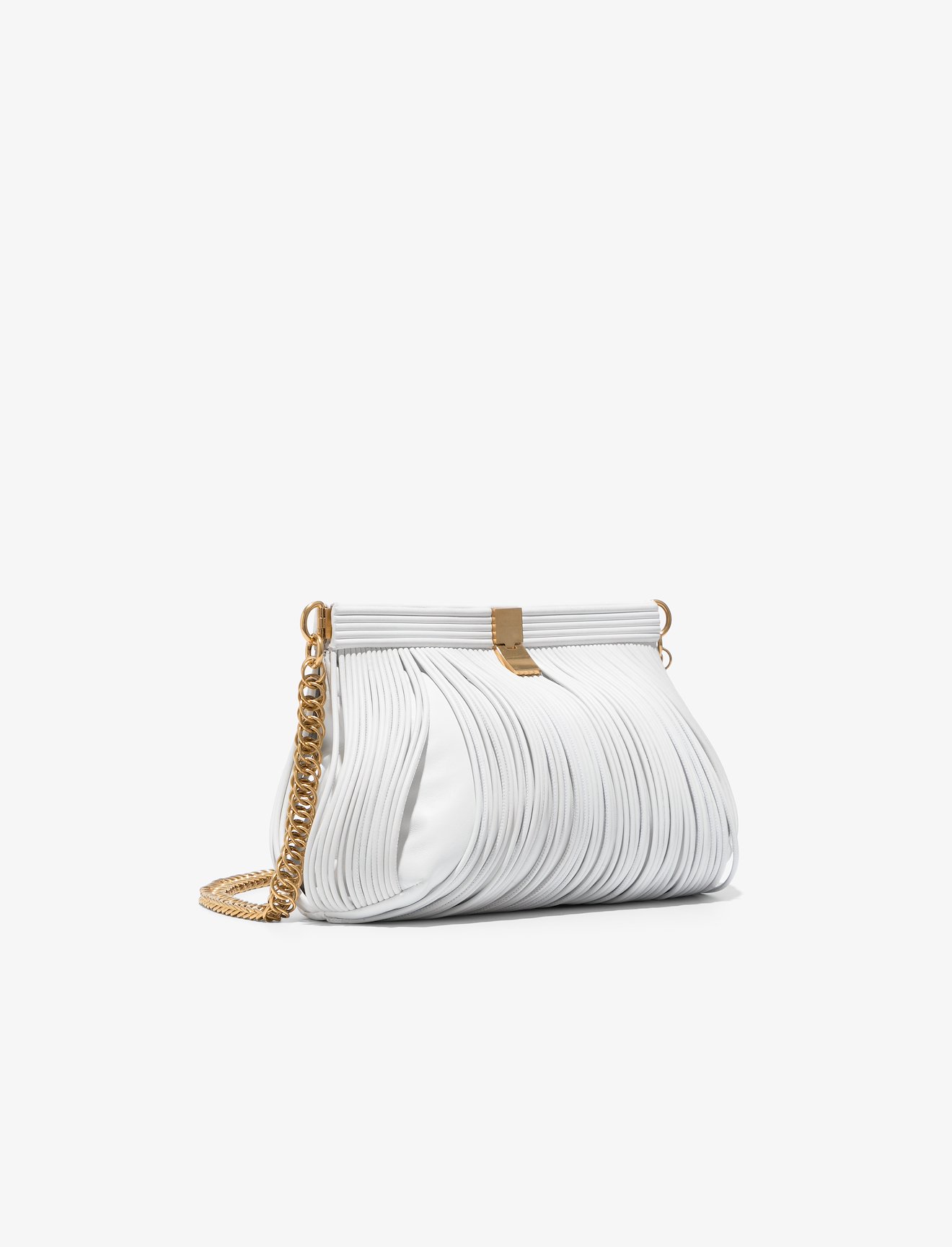 Rolo Chain Bag #1