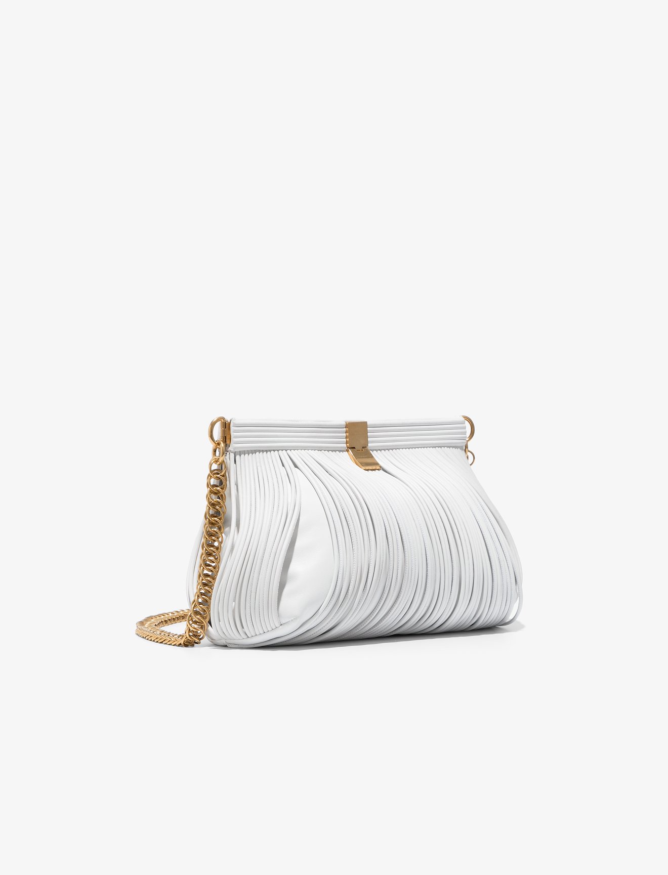 Rolo Chain Bag #1