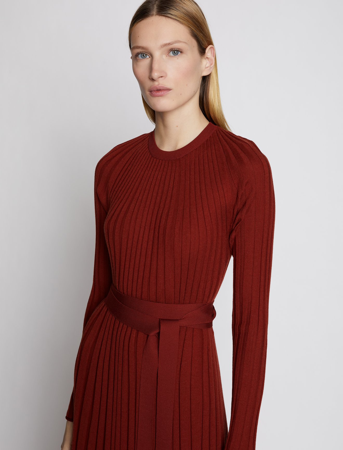 Silk Cashmere Pleated Dress #3
