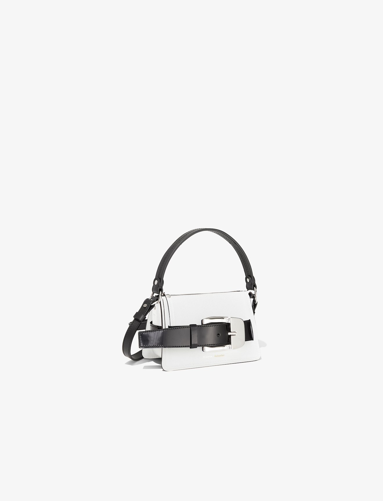 Small Buckle Zip Bag #1