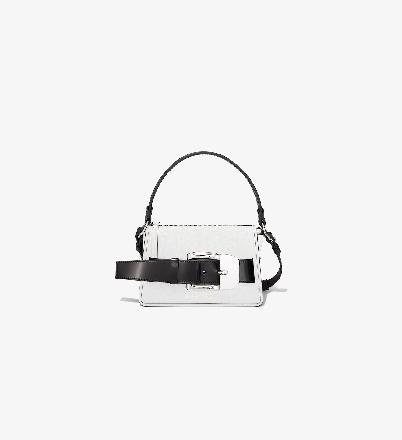 Small Buckle Zip Bag