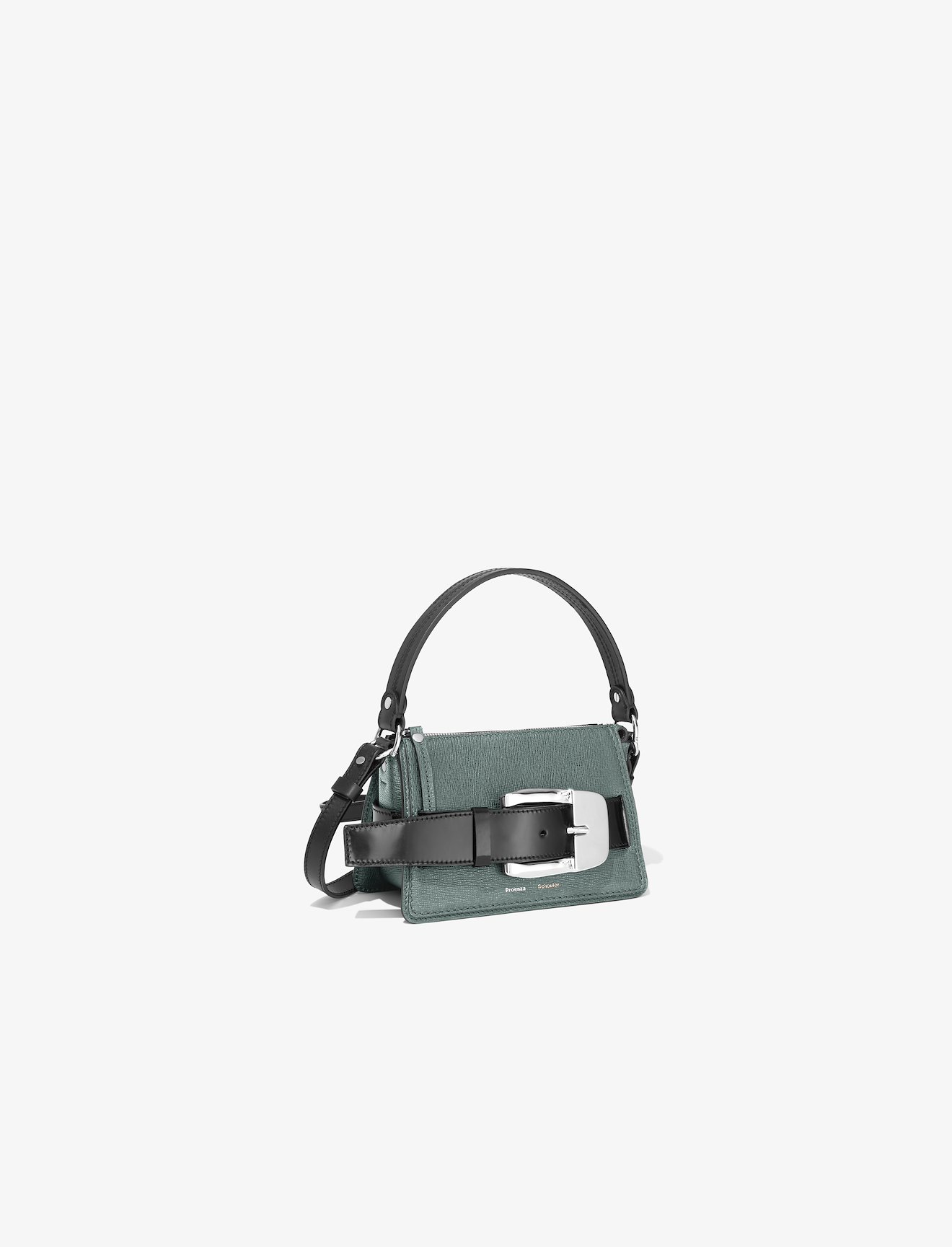 Small Buckle Zip Bag #1