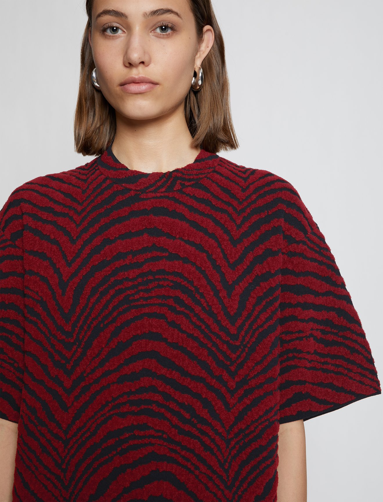 Animal Jacquard Knit Dress #3