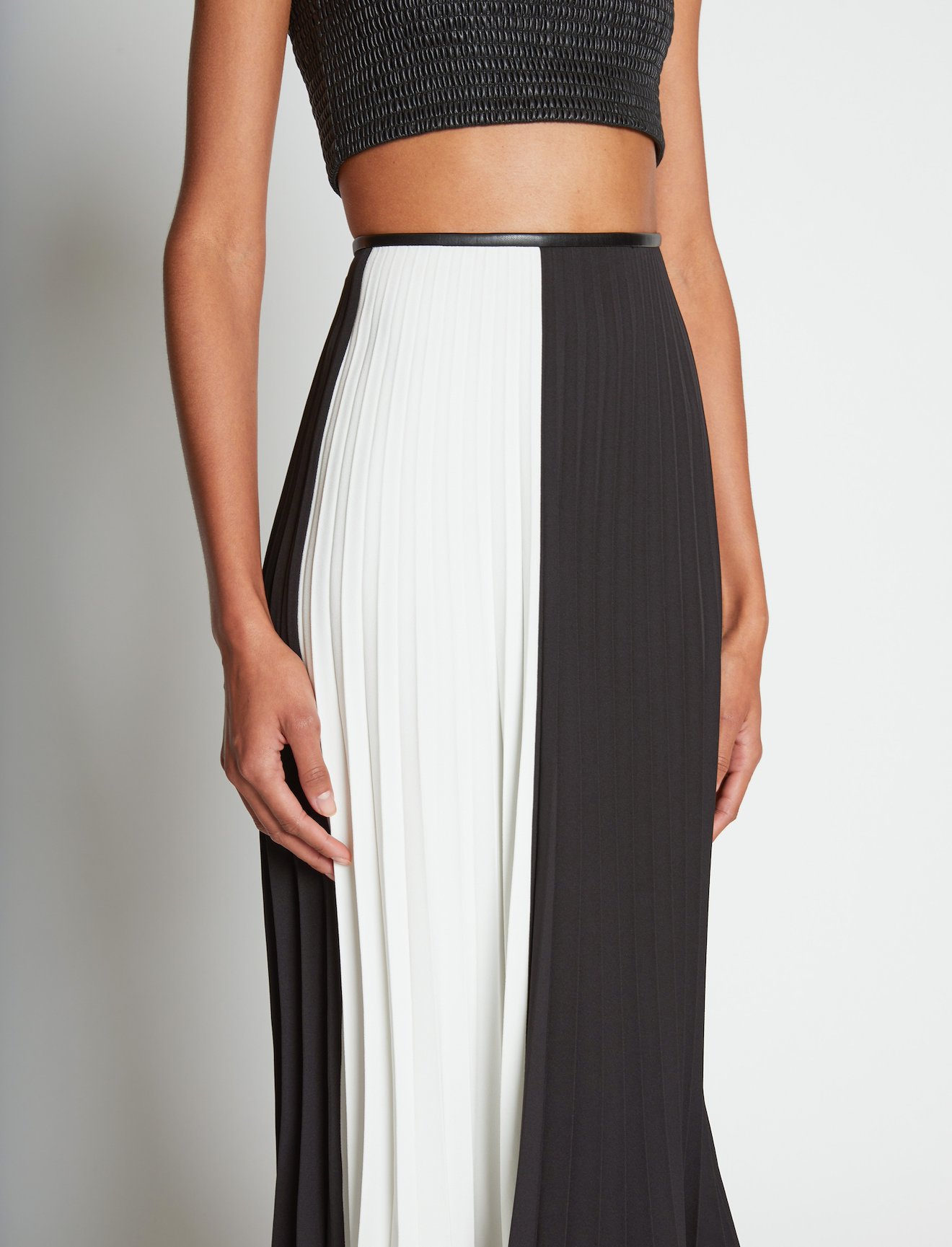 Bi-color Pleated Skirt #3
