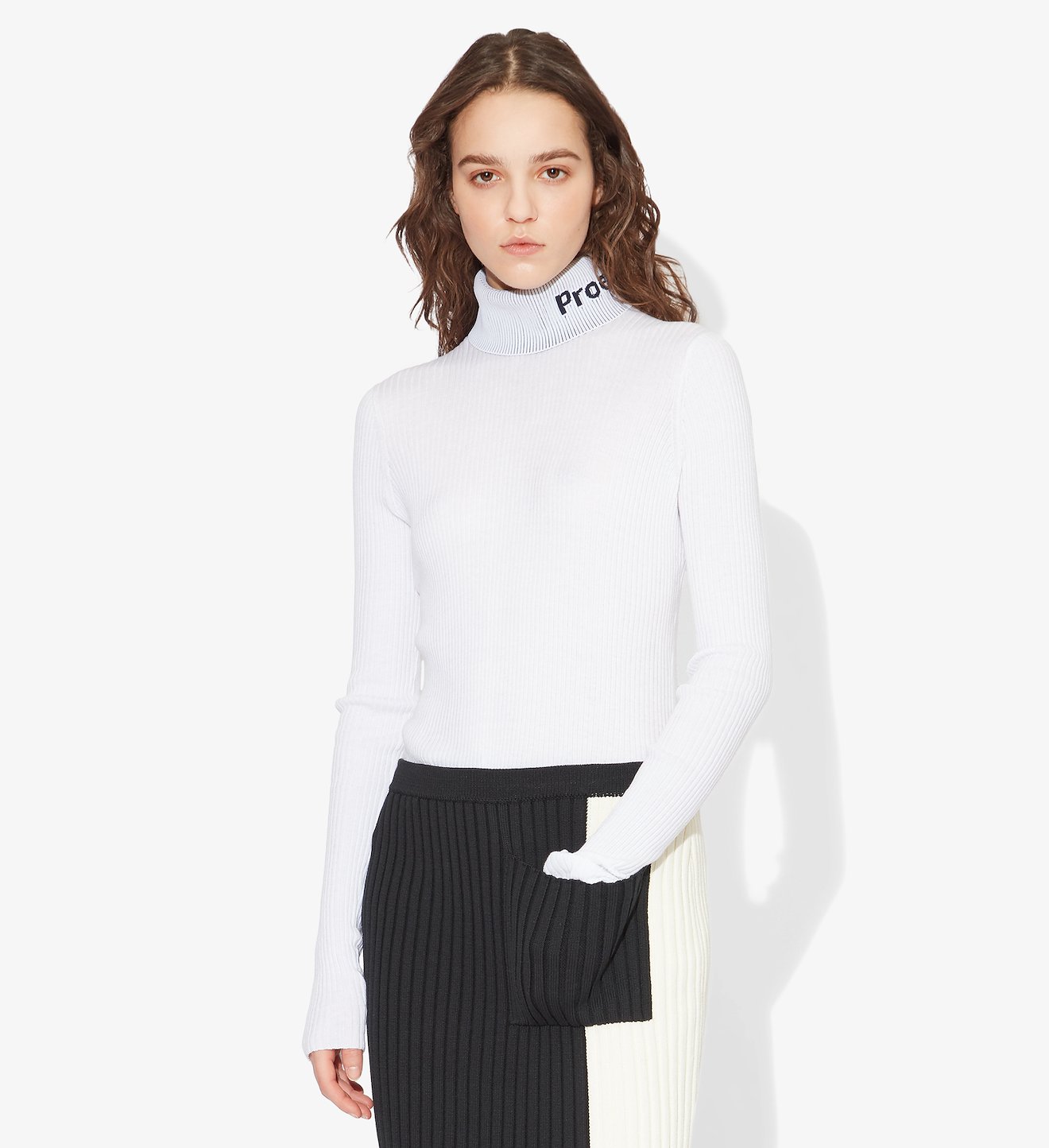 Logo Rib Knit Turtleneck