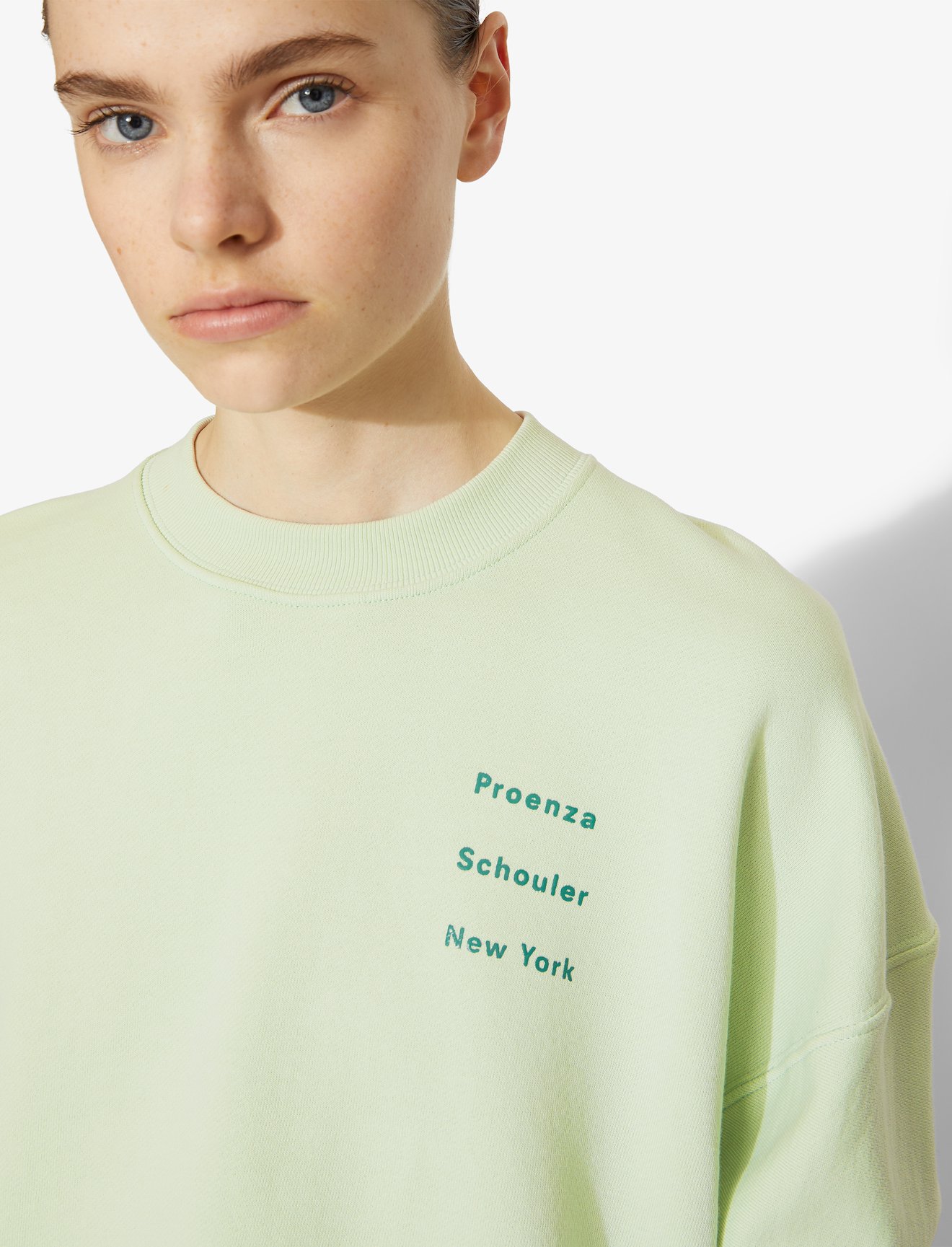 PS NY Sweatshirt #3
