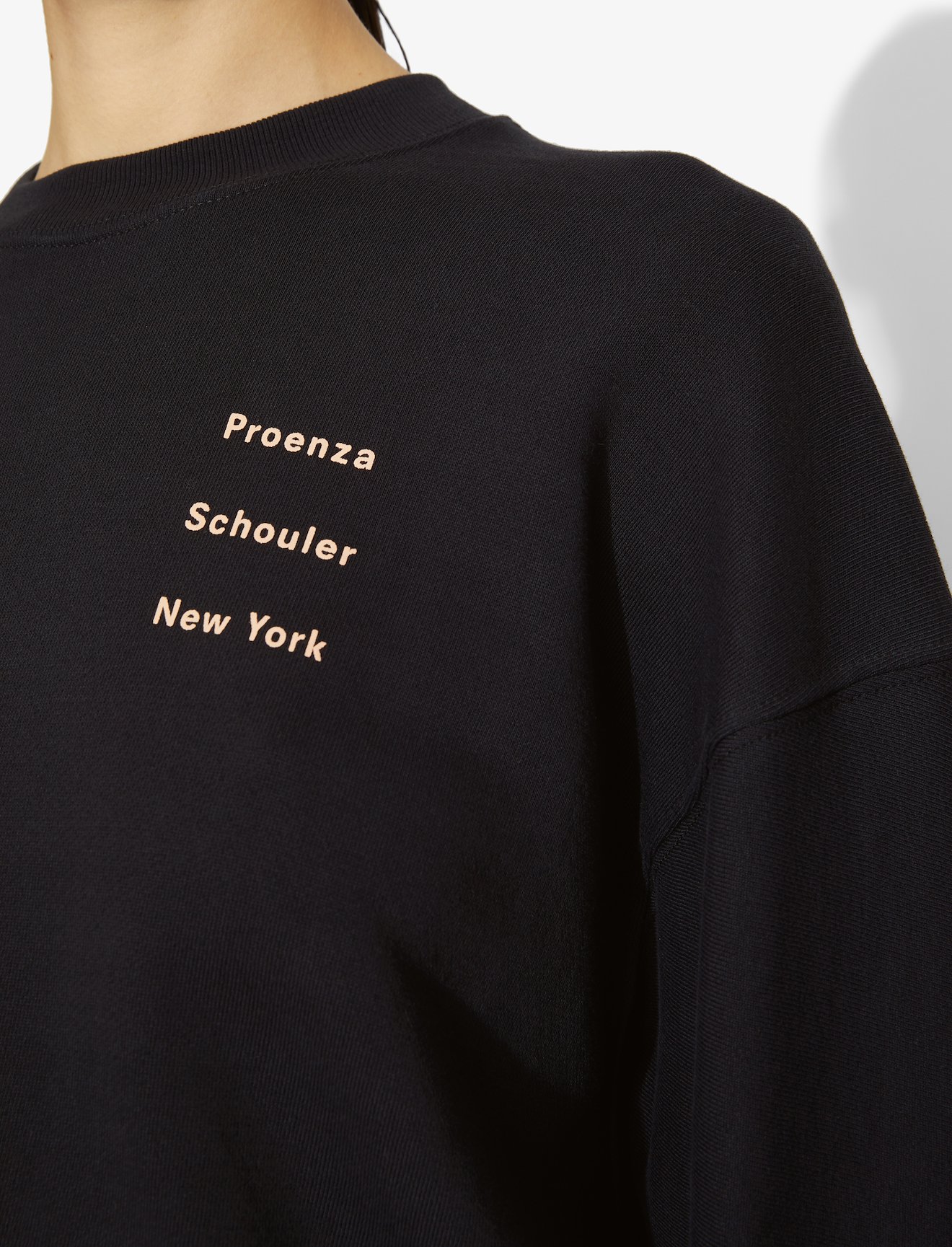 PS NY Sweatshirt #3