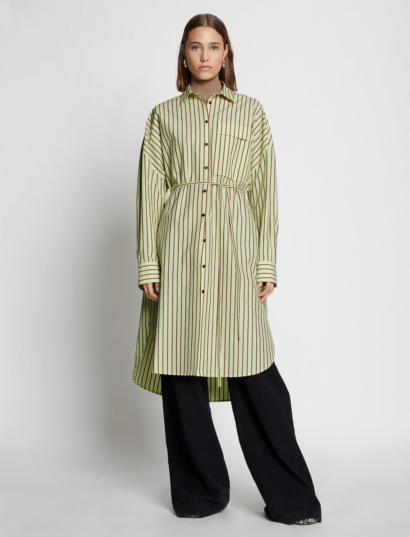 Stripe Poplin Shirt Dress #5