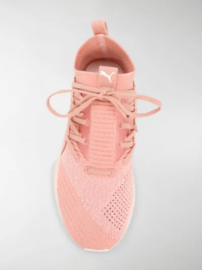 puma tsugi jun rosa