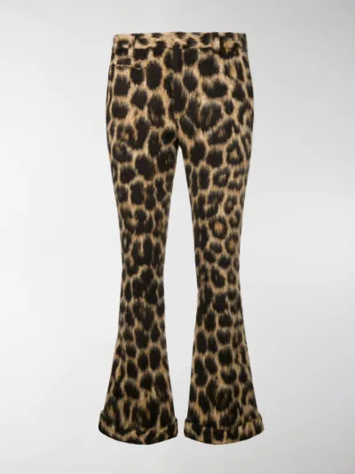 leopard flared pants