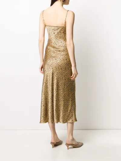 rixo leopard