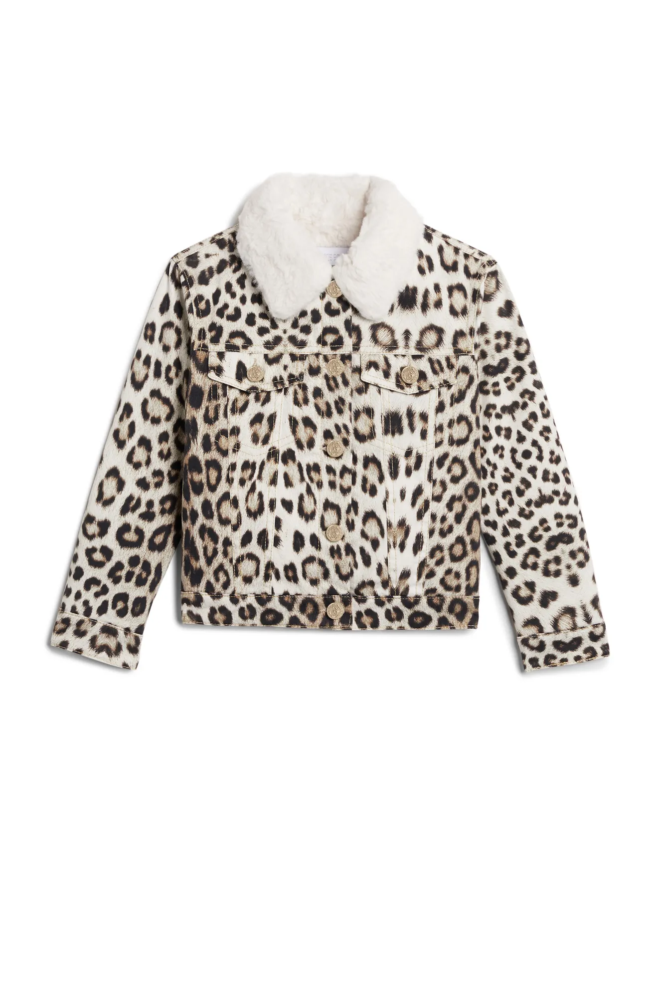 gabardina con estampado de leopardo - Tienda Online Oficial de Roberto  Cavalli®