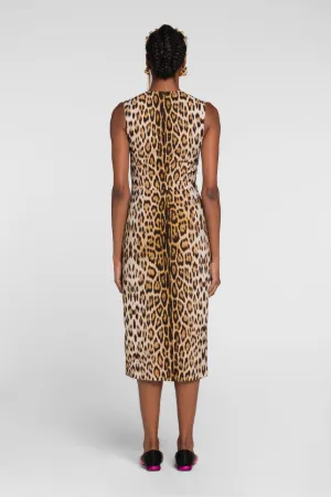 Robe à imprimé jaguar