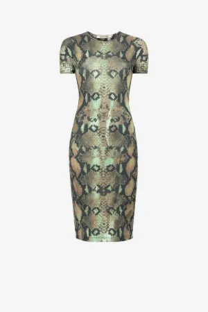 Robe à imprimé python