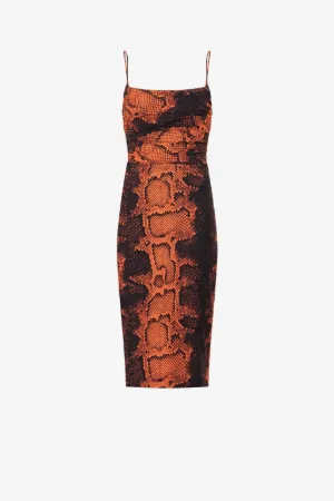 Robe à imprimé python