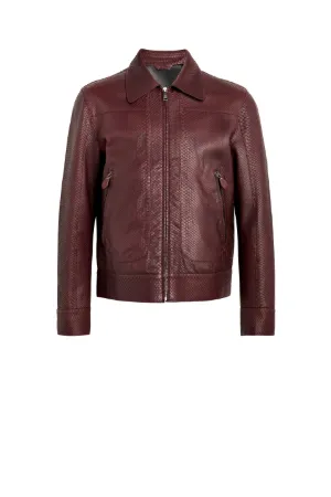 veste en python homme