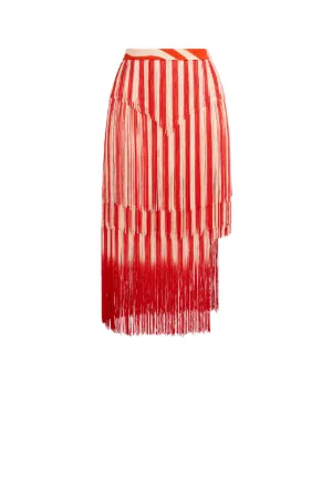 Zebra Avantgarde Fringe Skirt