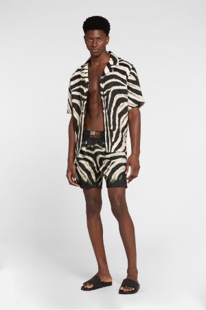 zebra print swim