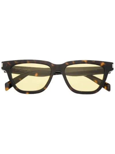 saint laurent tortoise shell sunglasses