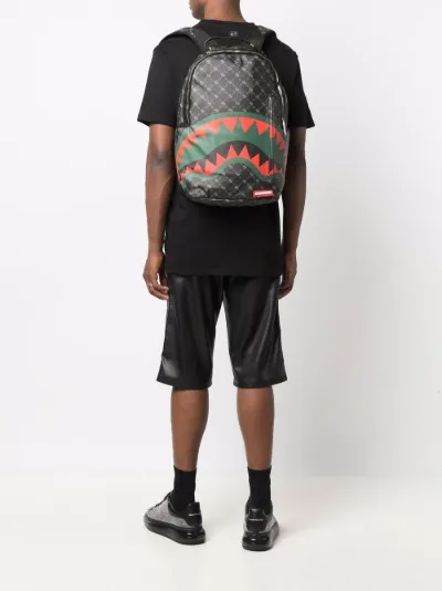 small multi pocket backpack