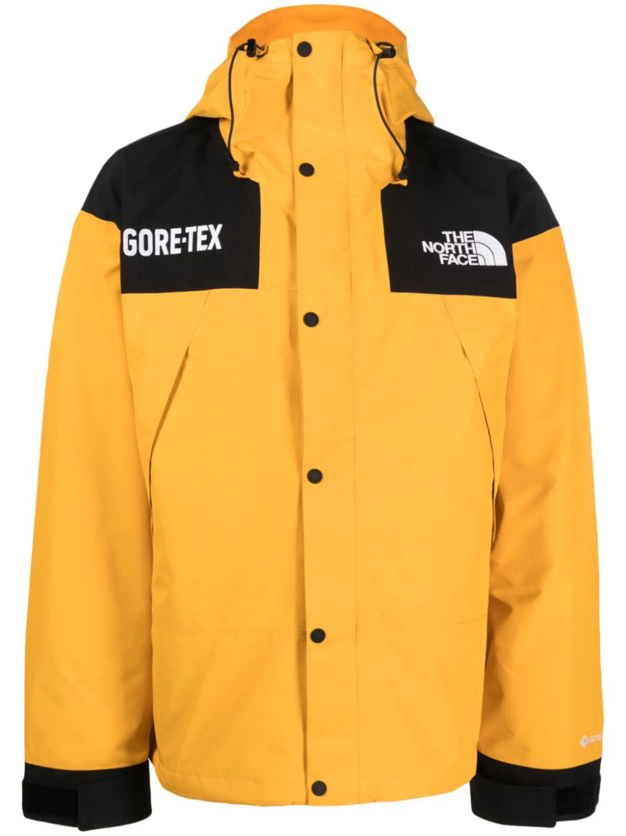 GoreTex Mountain insulated jacket The North Face