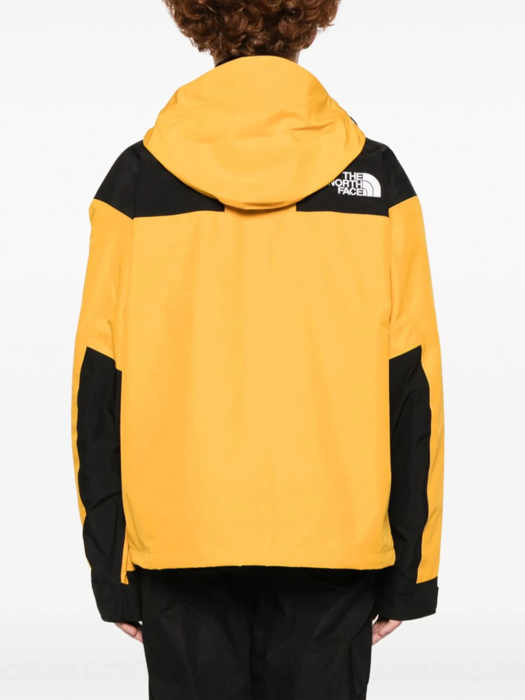 GoreTex Mountain insulated jacket The North Face