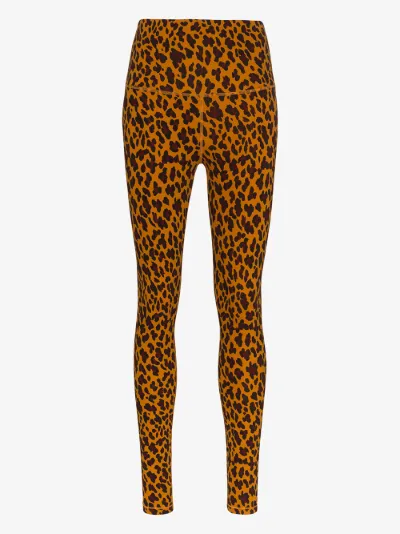 cheetah print leggings