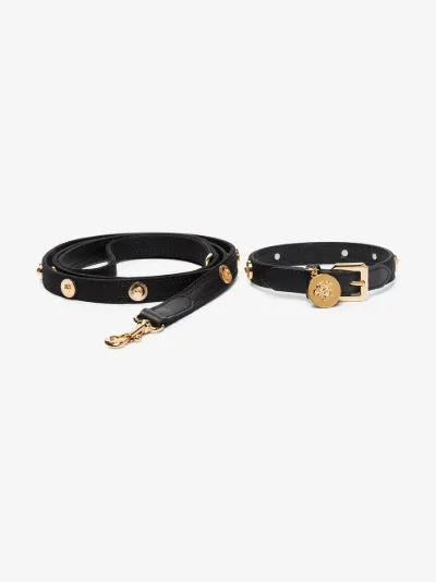 leather collar and leash set