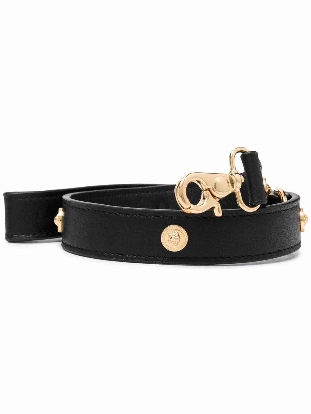 Versace dog on sale collar and leash